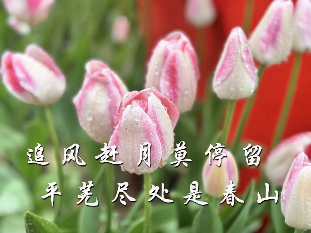 高考倒计时10天 | 决战高考,蓄“10”待发! 第5张 高考倒计时10天 | 决战高考,蓄“10”待发! 第5张