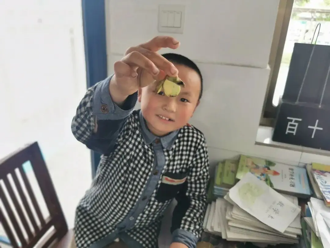 【苴镇德耀小学|情感德育】我与蚕豆共成长——苴镇德耀小学开展劳动实践活动 第33张