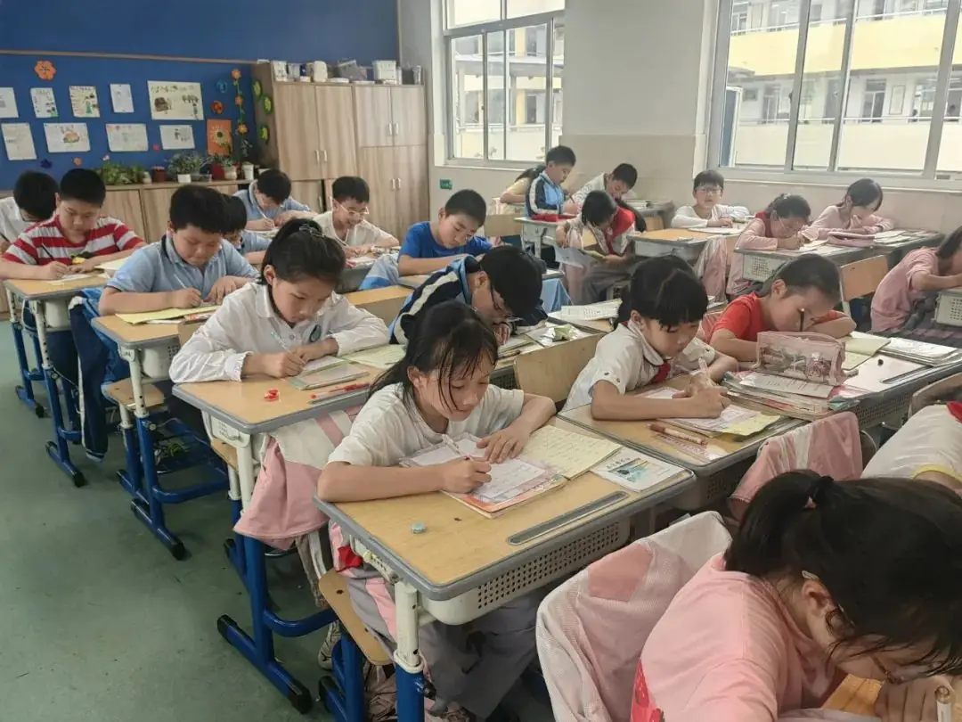 启明城东|城东小学举行三至六年级英语书写比赛 第17张