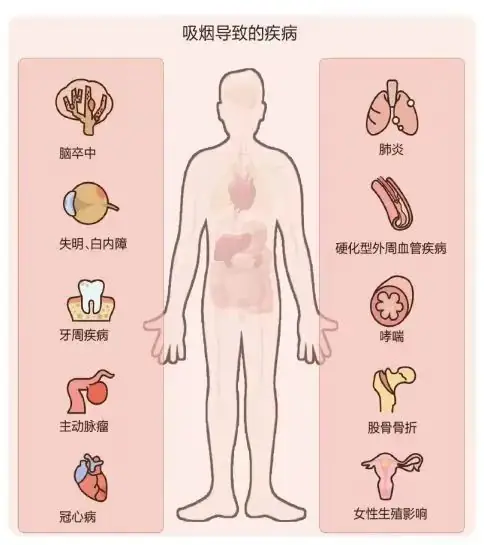 【筵宾镇中心小学|全环境树人】珍爱生命,拒绝烟草 第4张 【筵宾镇中心小学|全环境树人】珍爱生命,拒绝烟草 第4张