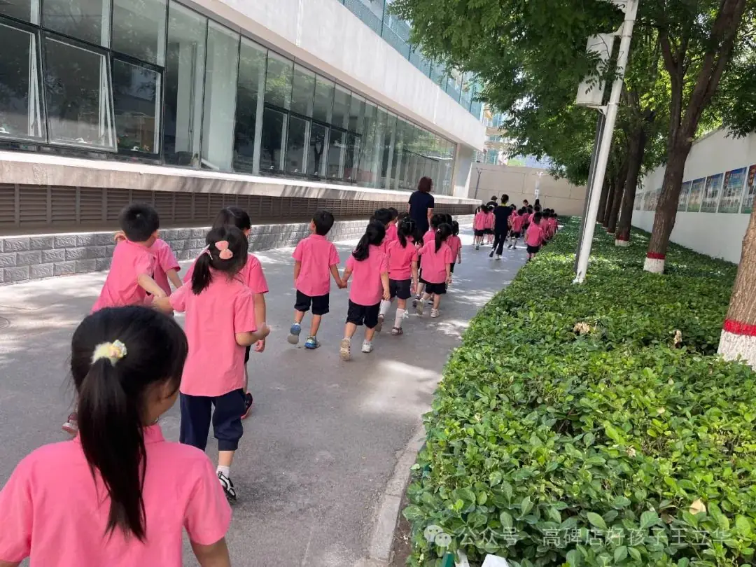 初探小学、礼遇成长|幼小衔接之参观小学活动 第37张