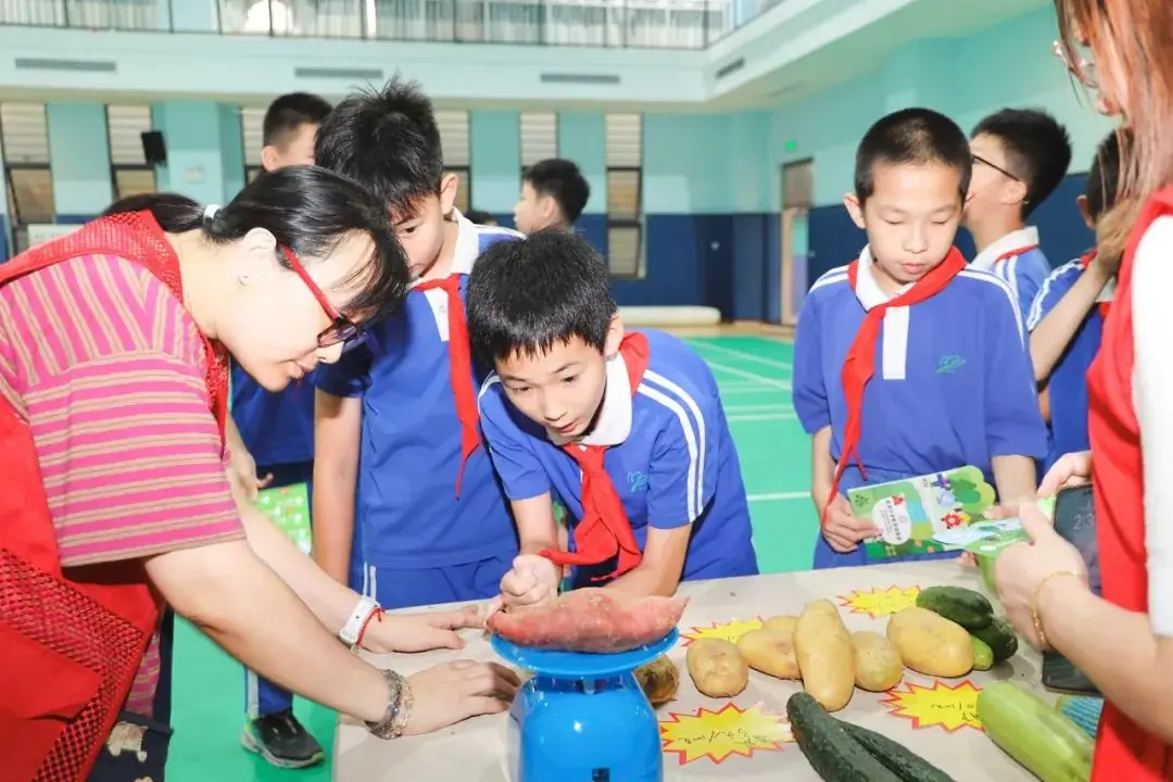 莲花山下好大一节数学课:新莲小学“空中农场的几何美学”课程长卷 第18张 莲花山下好大一节数学课:新莲小学“空中农场的几何美学”课程长卷 第18张