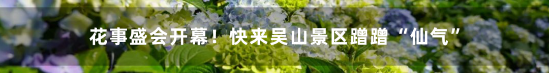 高考在即,河坊街这家店排起长队!不少家长来“讨彩头” 第8张 高考在即,河坊街这家店排起长队!不少家长来“讨彩头” 第8张