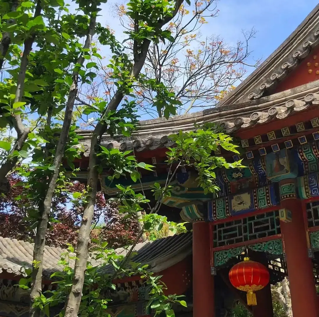 中考英语作文得满分,就因为背了这些黄金模板!(预测和范文供参考) 第3张 中考英语作文得满分,就因为背了这些黄金模板!(预测和范文供参考) 第3张