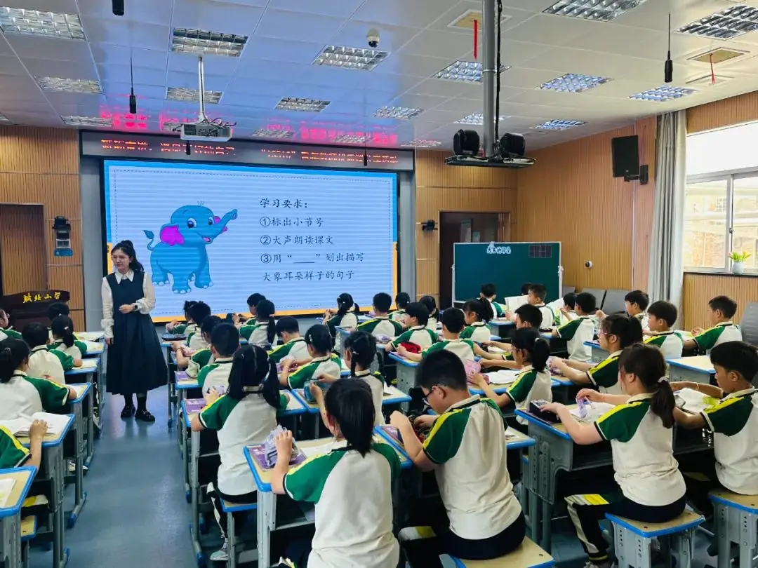 砥砺奋进 遇见更好的自己——城北小学教育集团“13510”青年教师优质课分享活动 第4张