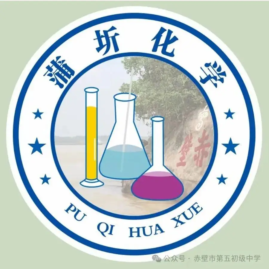 《聚焦中考备考 共话复习策略》赤壁市初中化学备考策略专题分享——化学与生活 第1张