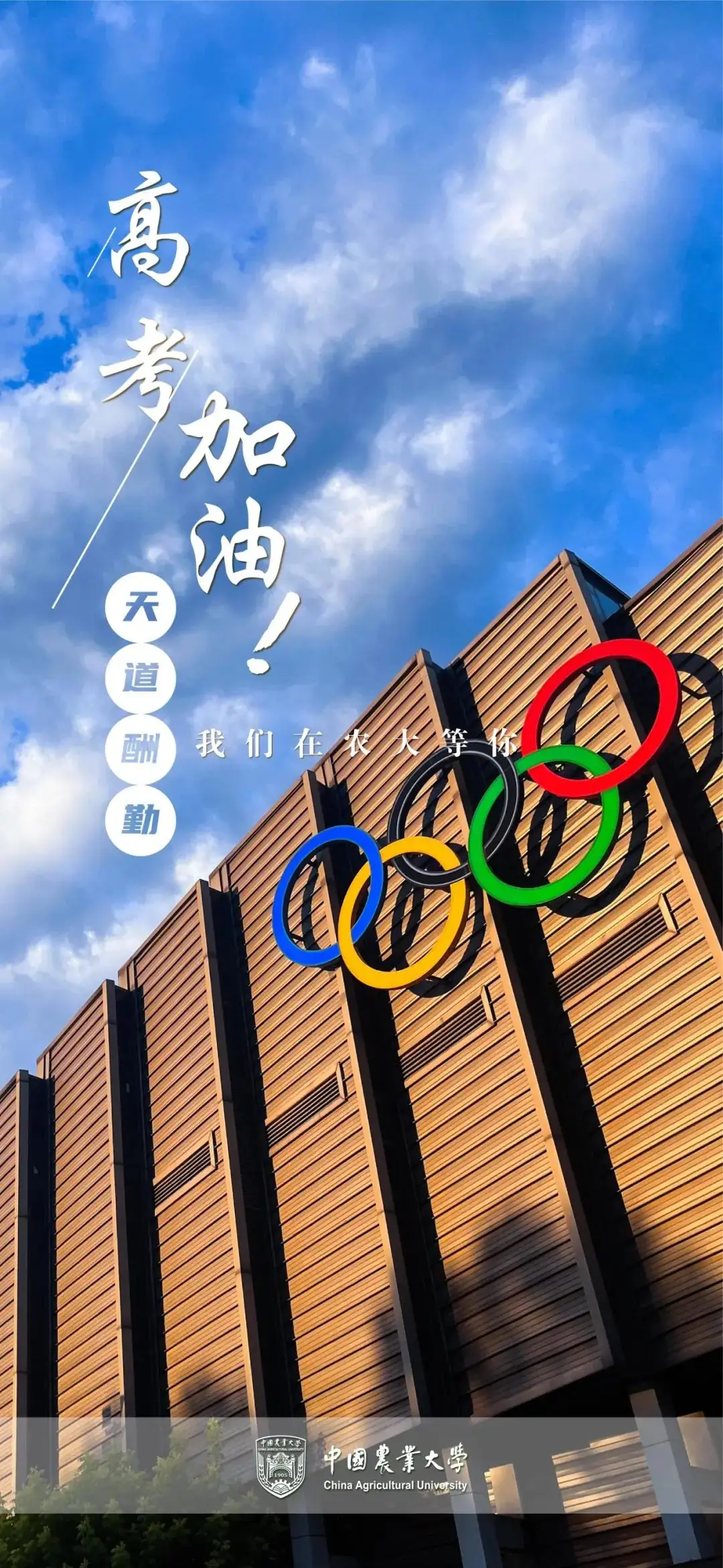 高考临近,这份祝福送给全力以赴的你! 第16张 高考临近,这份祝福送给全力以赴的你! 第16张