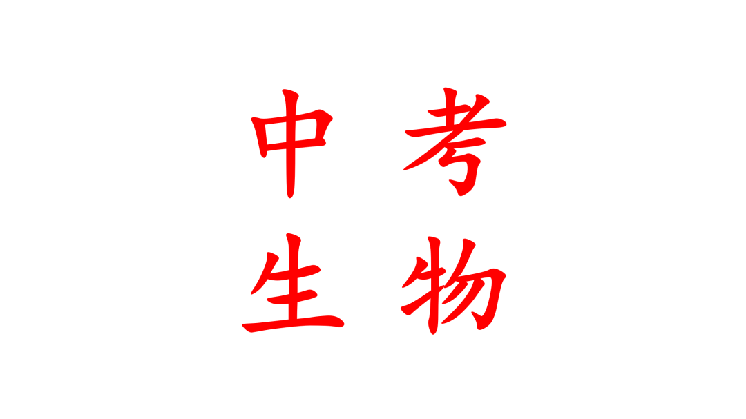 高考——超常发挥 第6张 高考——超常发挥 第6张
