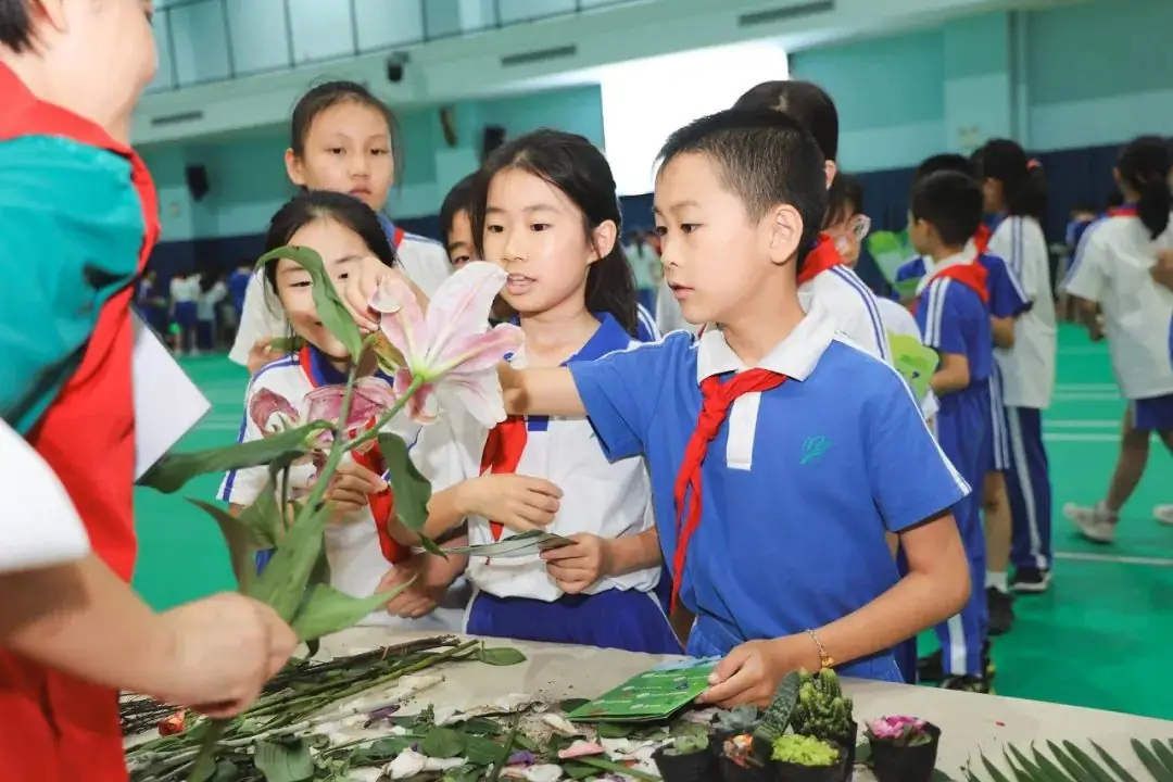 莲花山下好大一节数学课:新莲小学“空中农场的几何美学”课程长卷 第20张 莲花山下好大一节数学课:新莲小学“空中农场的几何美学”课程长卷 第20张
