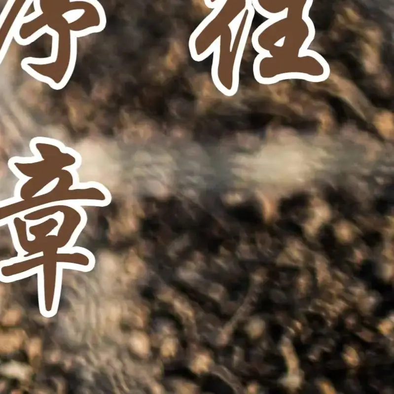 高考倒计时9天,加油! 第55张 高考倒计时9天,加油! 第55张