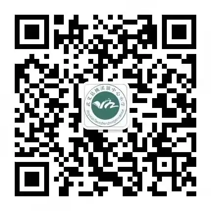 2024年桃溪镇中心小学一年级新生招生公告 第7张