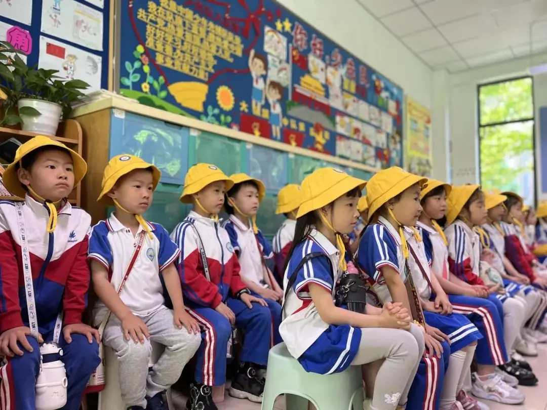 资讯速递|幼见小学,育见成长 第41张 资讯速递|幼见小学,育见成长 第41张