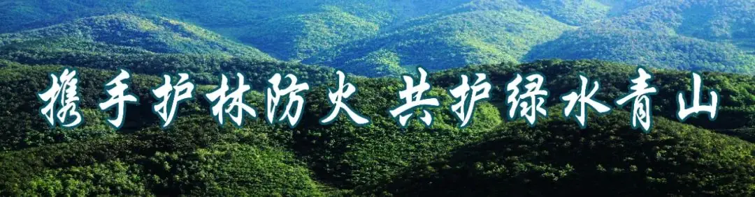 卯家湾小学少年宫:助力学生全面发展的新引擎 第3张 卯家湾小学少年宫:助力学生全面发展的新引擎 第3张