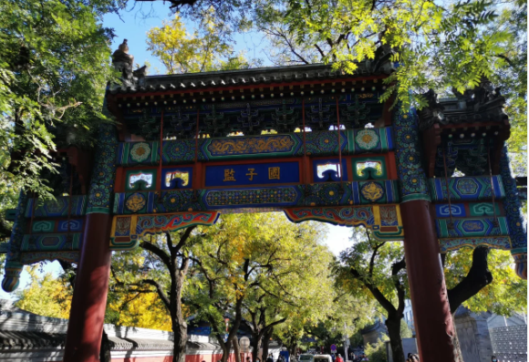 高考之前拜下槐 第6张 高考之前拜下槐 第6张