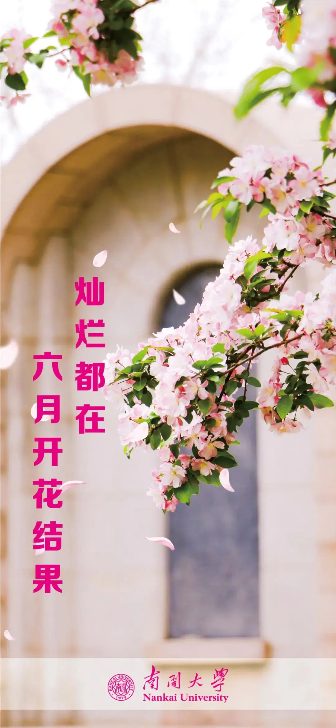 高考临近,这份祝福送给全力以赴的你! 第26张 高考临近,这份祝福送给全力以赴的你! 第26张