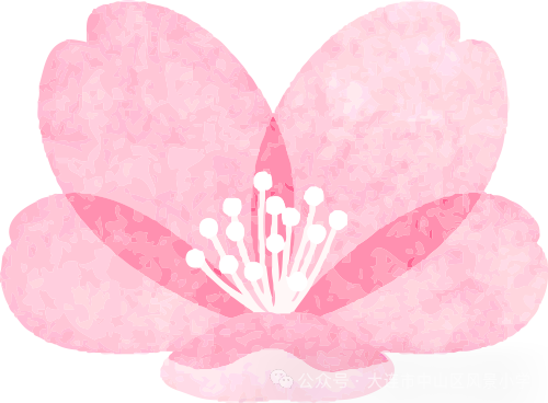 协同共育 呵护成长——风景小学教育教学开放周活动纪实 第14张 协同共育 呵护成长——风景小学教育教学开放周活动纪实 第14张