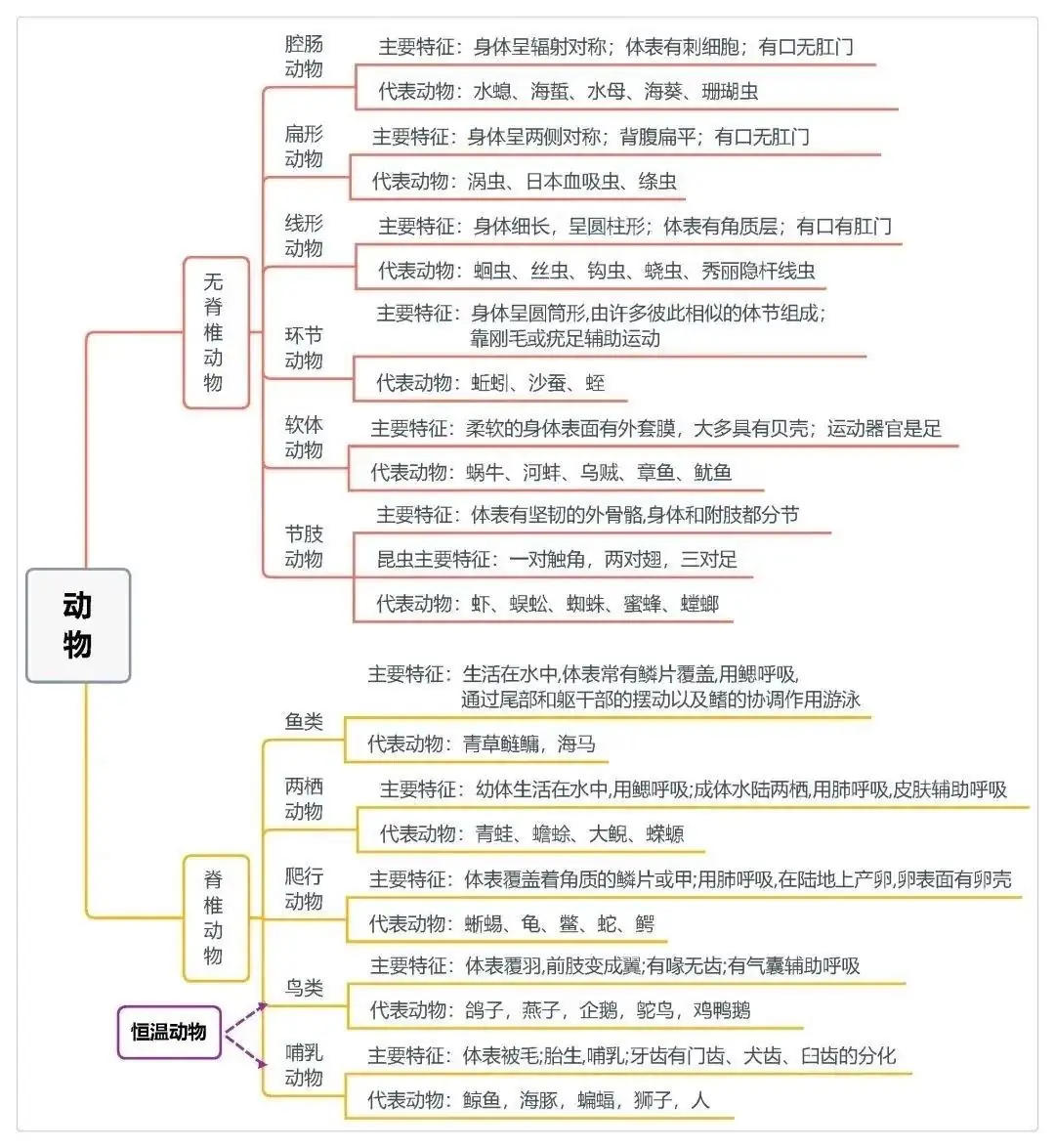 2025年中考地理、生物计入录取总分!地生如何学习考试能得高分? 第13张