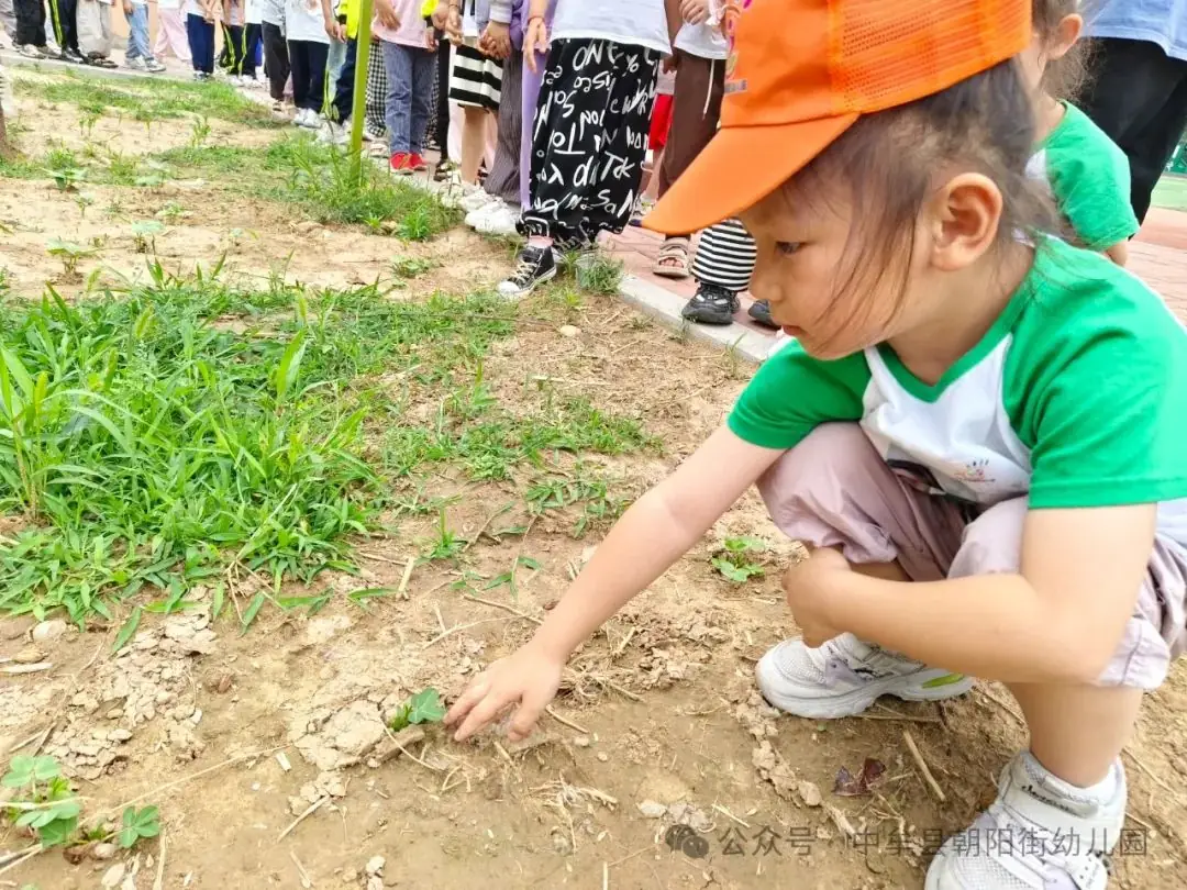 小学“慧”感知,衔接育成长——中牟县朝阳街幼儿园参观小学活动 第54张 小学“慧”感知,衔接育成长——中牟县朝阳街幼儿园参观小学活动 第54张