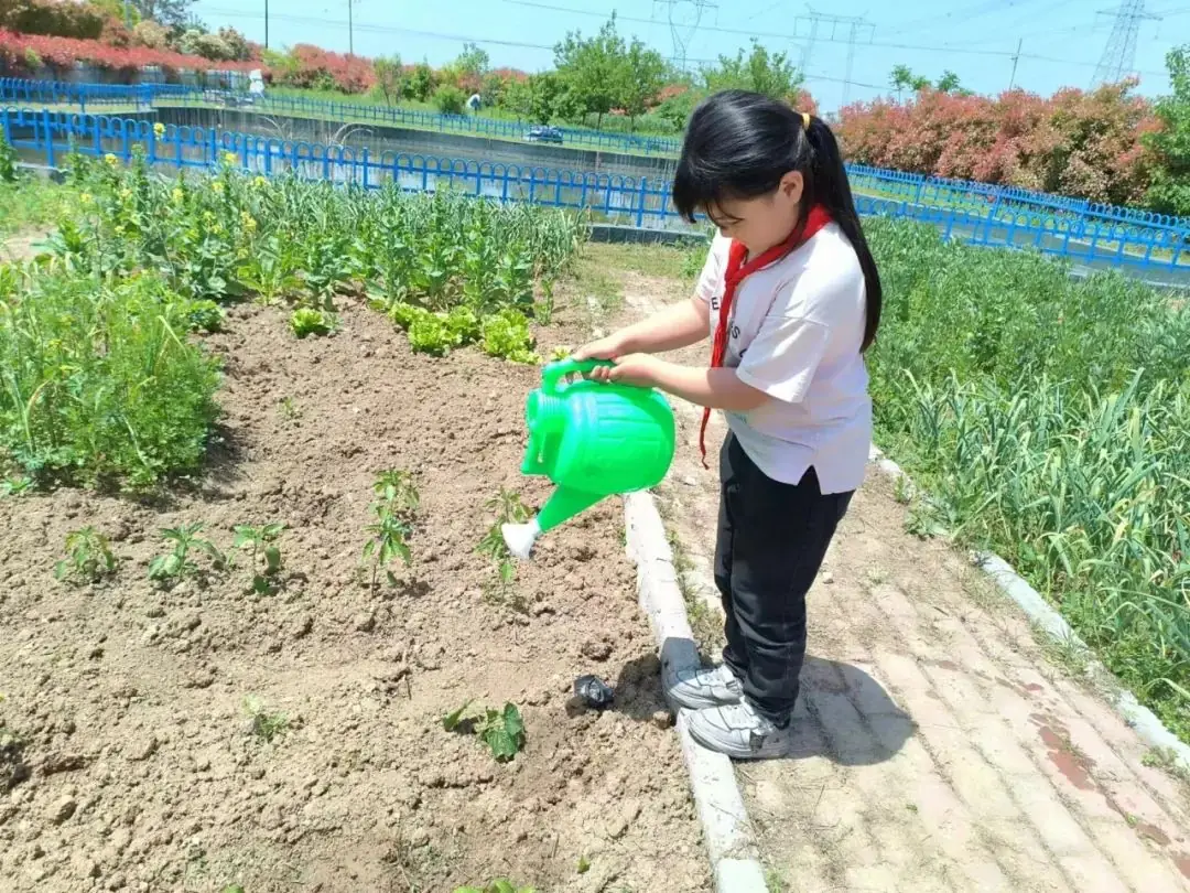 插花赵店小学:心身健康 阳光成长 第14张 插花赵店小学:心身健康 阳光成长 第14张
