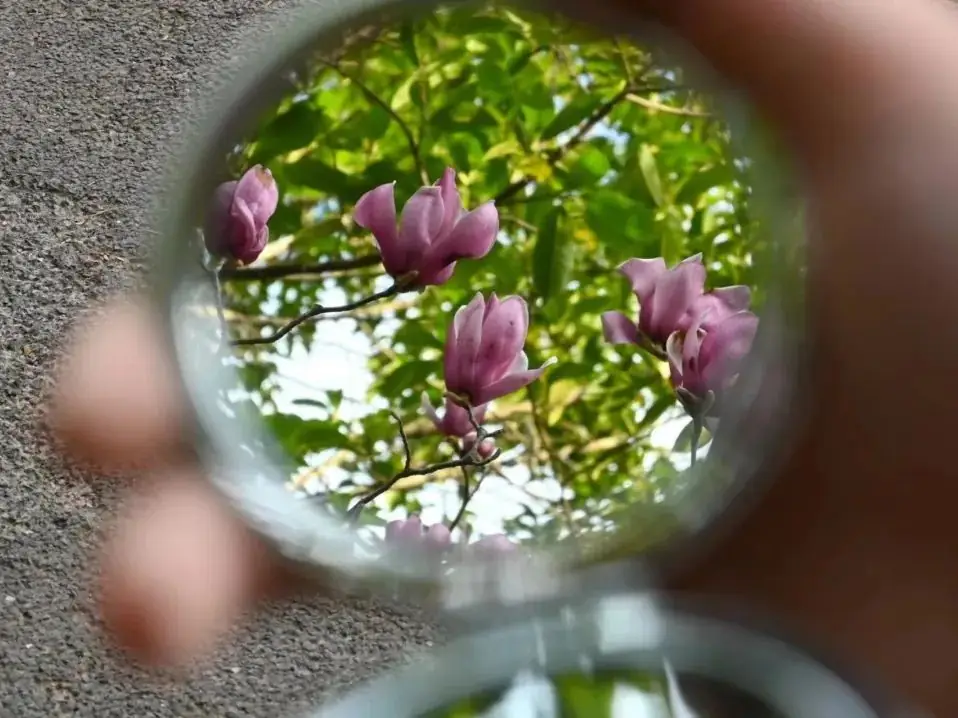 高考倒计时10天|加油!我们在浙农林大等你 第69张 高考倒计时10天|加油!我们在浙农林大等你 第69张