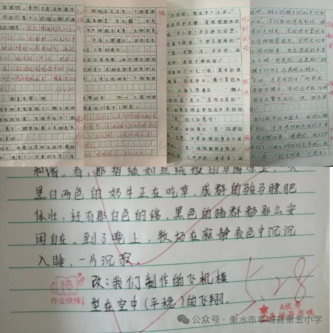 立足常规 行稳致远——阜城县第五小学教学常规检查 第8张 立足常规 行稳致远——阜城县第五小学教学常规检查 第8张