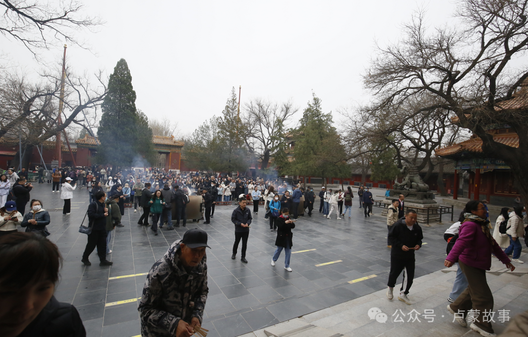 高考之前拜下槐 第15张 高考之前拜下槐 第15张