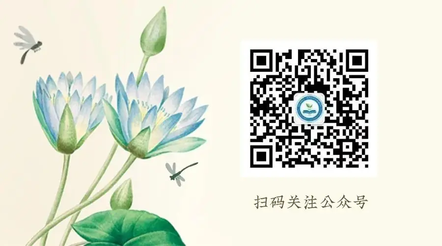高新区实验小学开展“保护学生免受烟草危害”活动 第26张