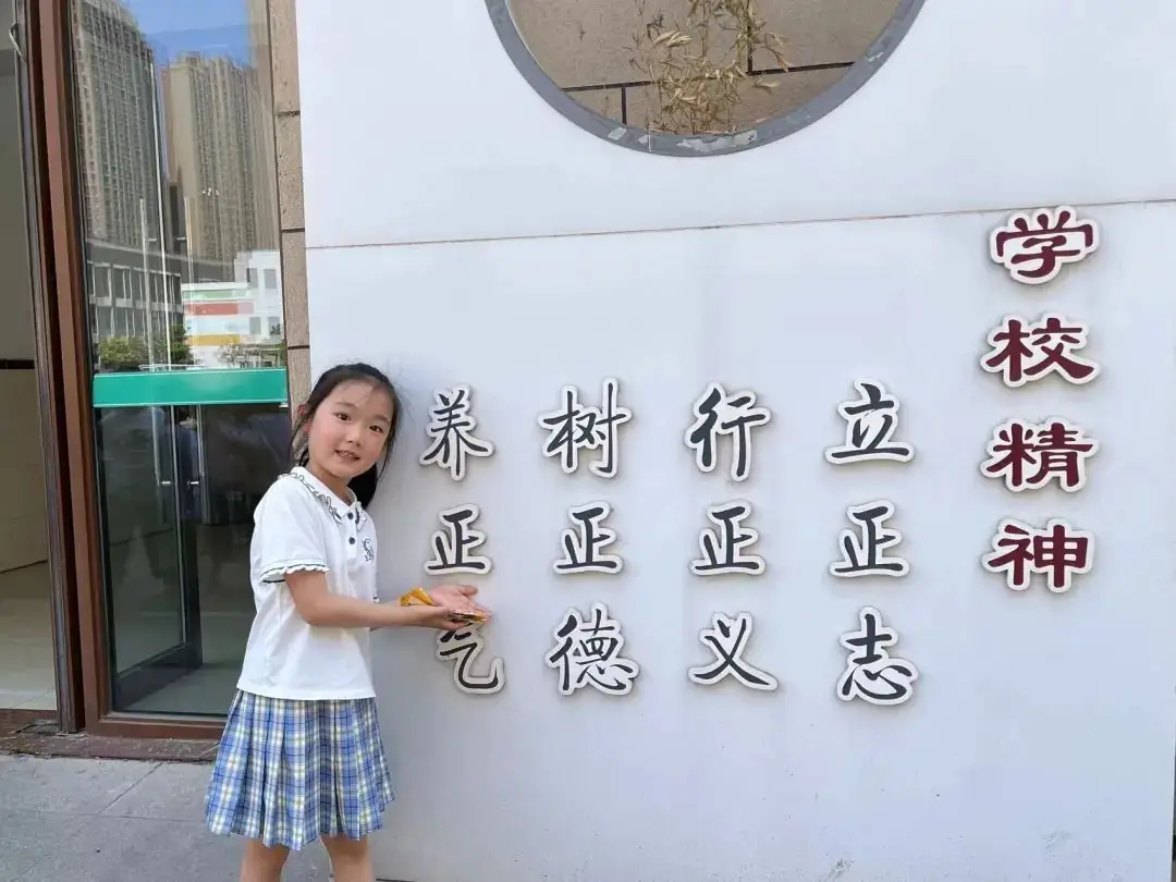 星雨幼 | 小学初探记 第32张 星雨幼 | 小学初探记 第32张