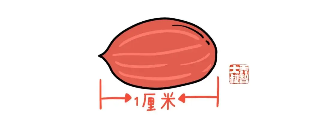 给孩子们的“小学常用计量单位图鉴大全” 第4张
