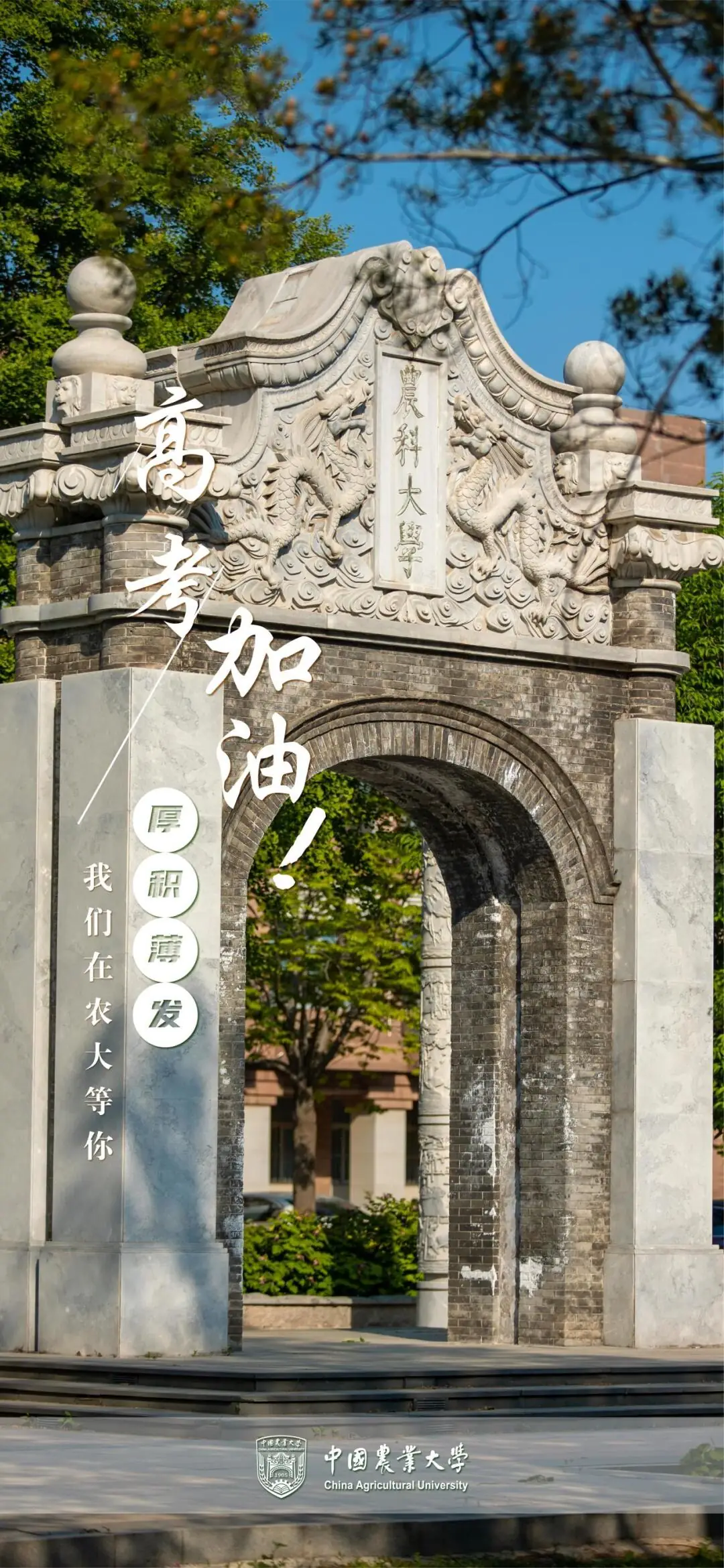 高考临近,这份祝福送给全力以赴的你! 第17张 高考临近,这份祝福送给全力以赴的你! 第17张