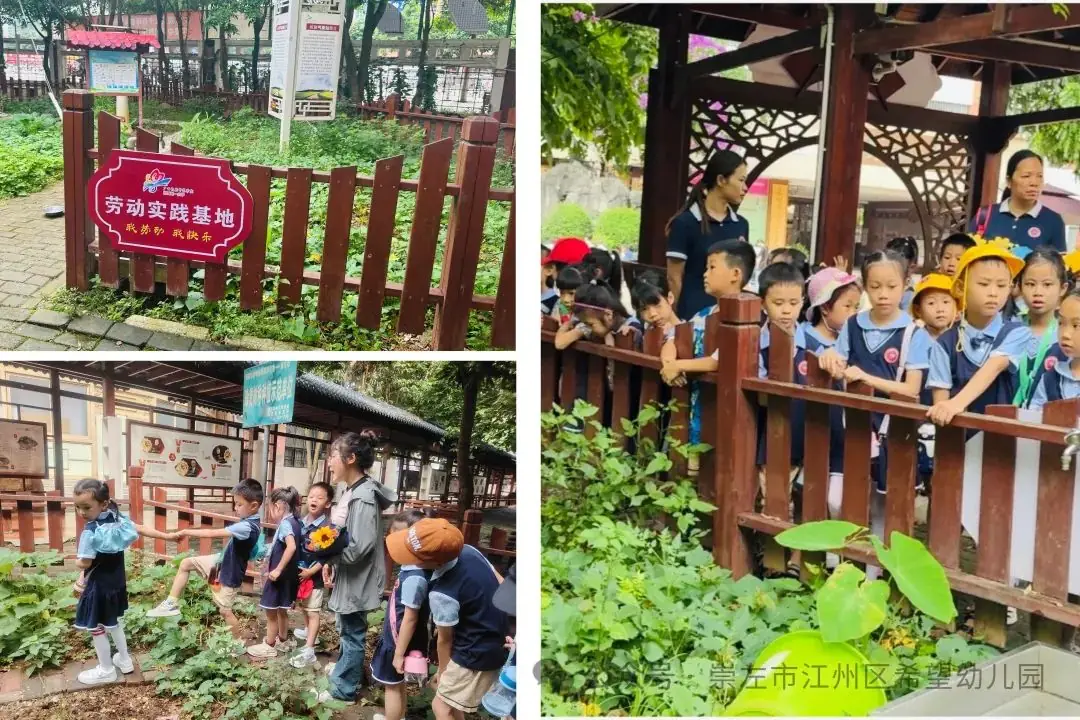 【幼小衔接 ~ 我与小学零距离】——托玛斯教育集团幼小衔接之参观小学系列活动 第50张 【幼小衔接 ~ 我与小学零距离】——托玛斯教育集团幼小衔接之参观小学系列活动 第50张