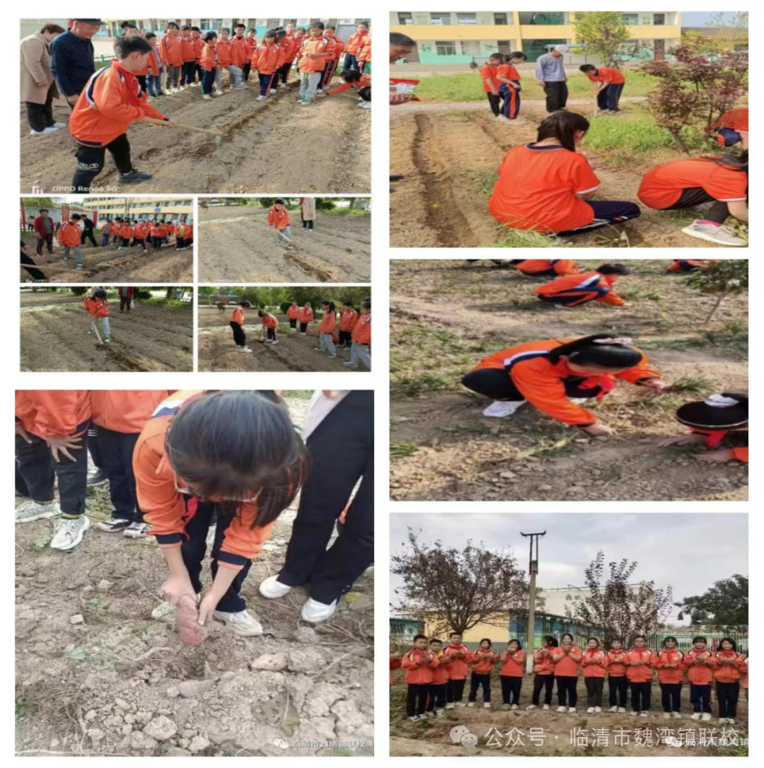 赞!魏湾镇第一中心小学获评临清市级第一批乡村温馨校园建设典型案例 第18张 赞!魏湾镇第一中心小学获评临清市级第一批乡村温馨校园建设典型案例 第18张