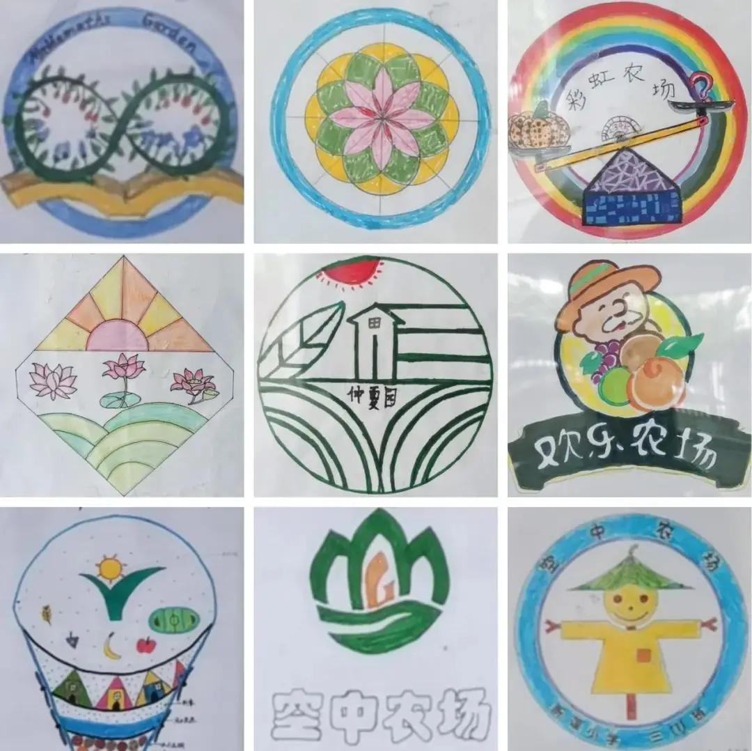 莲花山下好大一节数学课:新莲小学“空中农场的几何美学”课程长卷 第14张 莲花山下好大一节数学课:新莲小学“空中农场的几何美学”课程长卷 第14张