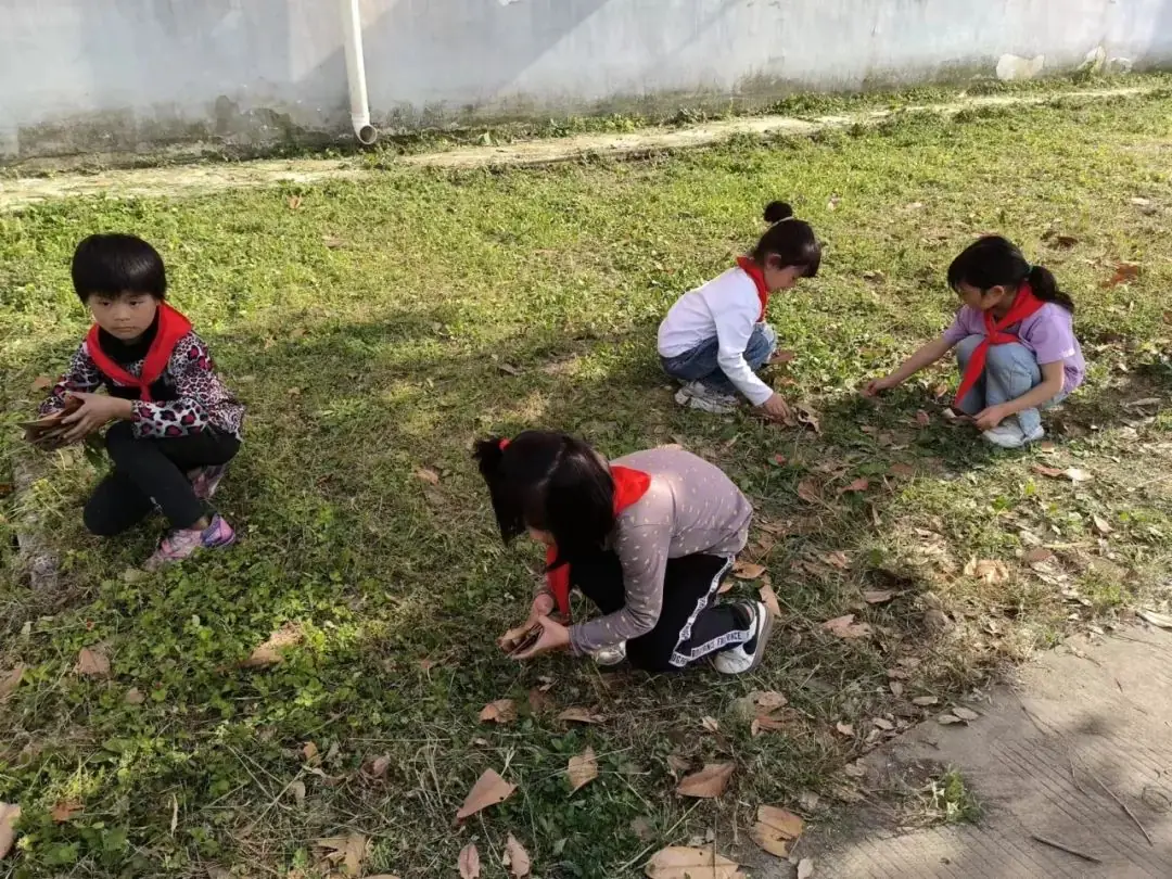 插花赵店小学:心身健康 阳光成长 第17张 插花赵店小学:心身健康 阳光成长 第17张