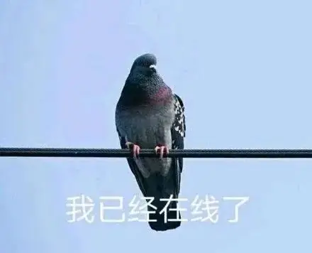 【meme合集】看看小学 第8张