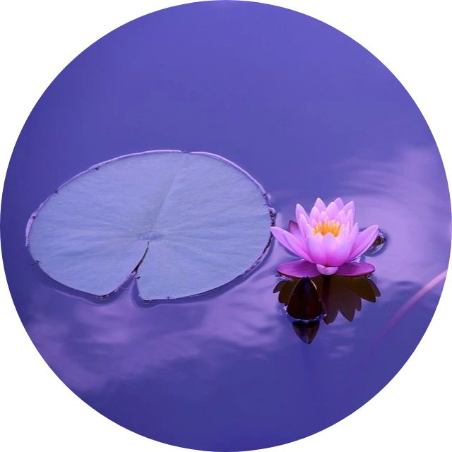 高考冲刺!最后10天,你能做些什么?考前备考攻略及各科答题注意事项! 第12张 高考冲刺!最后10天,你能做些什么?考前备考攻略及各科答题注意事项! 第12张