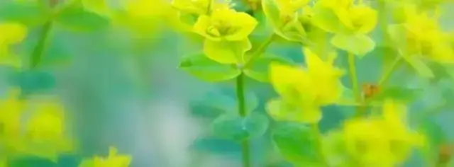 内蒙古五年中考研究(2019-2023年)道德与法治生命的思考(七年级上册核心) 第3张 内蒙古五年中考研究(2019-2023年)道德与法治生命的思考(七年级上册核心) 第3张