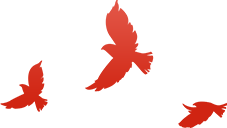 桃李芬芳||修文县第一小学2023级首批新队员名单及分批入队说明 第2张 桃李芬芳||修文县第一小学2023级首批新队员名单及分批入队说明 第2张