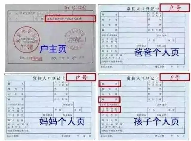 苏州市吴中区澄湖实验小学2024年一年级新生入学公告 第3张 苏州市吴中区澄湖实验小学2024年一年级新生入学公告 第3张