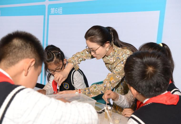 数字化转型助力小学科学教学实践——记杨浦区小学科学与技术教研活动 第4张 数字化转型助力小学科学教学实践——记杨浦区小学科学与技术教研活动 第4张
