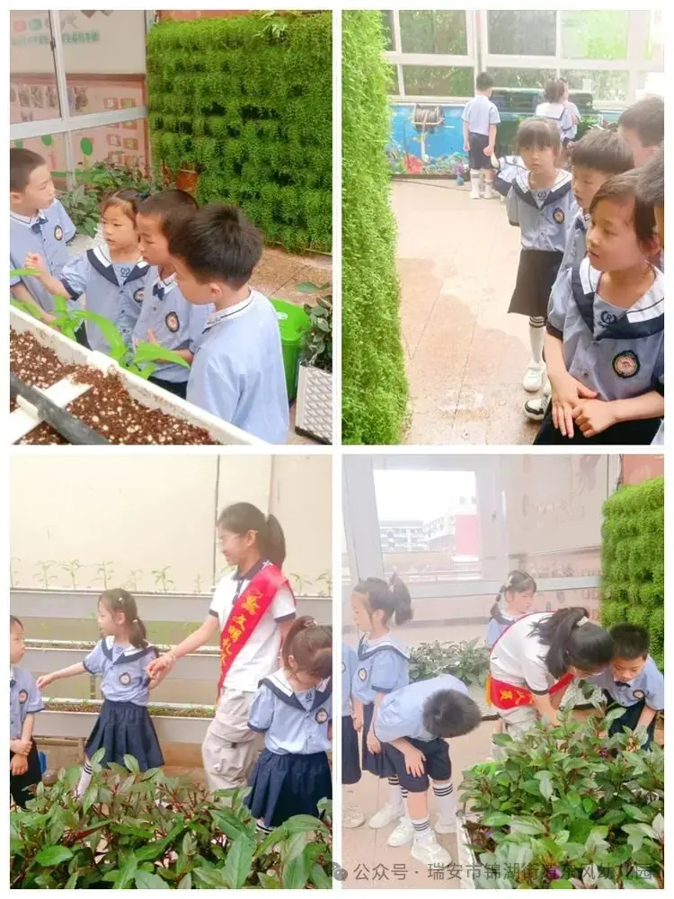 “幼”遇小学 向梦出发——瑞安市锦湖街道东风幼儿园参观小学活动 第34张 “幼”遇小学 向梦出发——瑞安市锦湖街道东风幼儿园参观小学活动 第34张