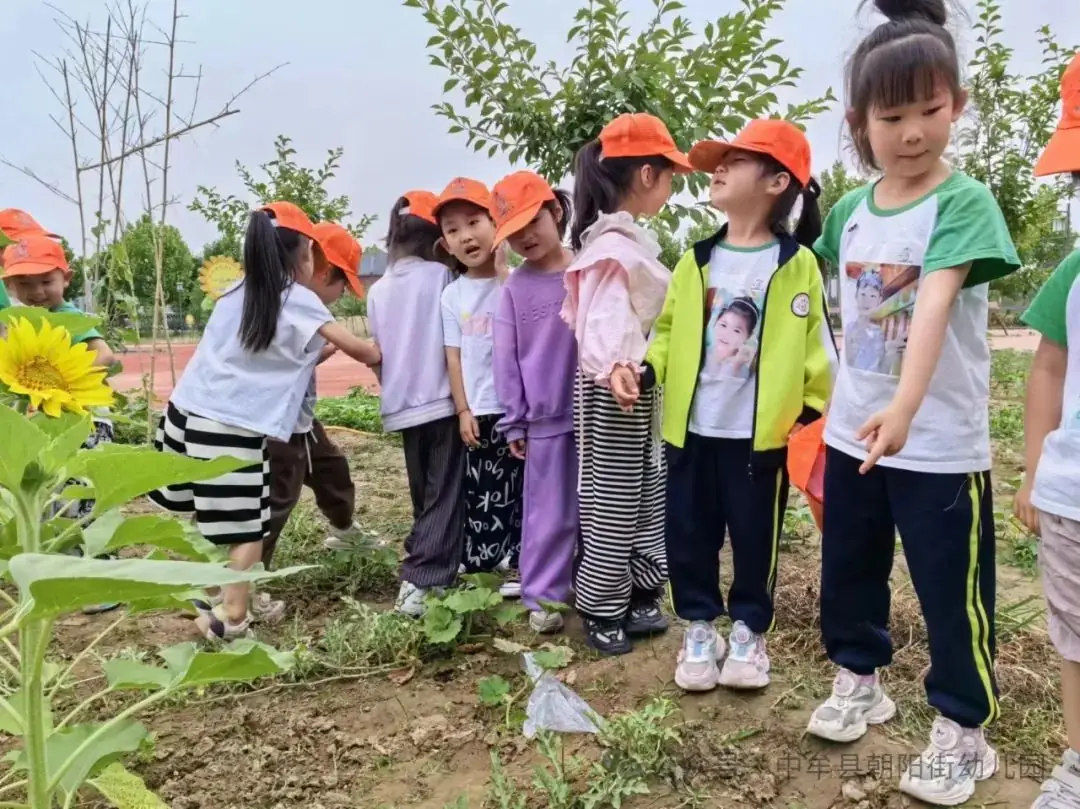 小学“慧”感知,衔接育成长——中牟县朝阳街幼儿园参观小学活动 第56张 小学“慧”感知,衔接育成长——中牟县朝阳街幼儿园参观小学活动 第56张