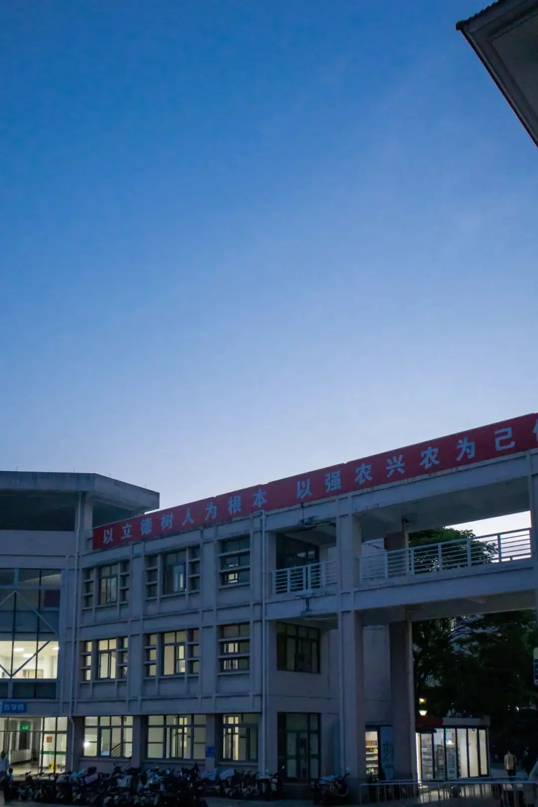 高考倒计时10天|加油!我们在浙农林大等你 第18张 高考倒计时10天|加油!我们在浙农林大等你 第18张