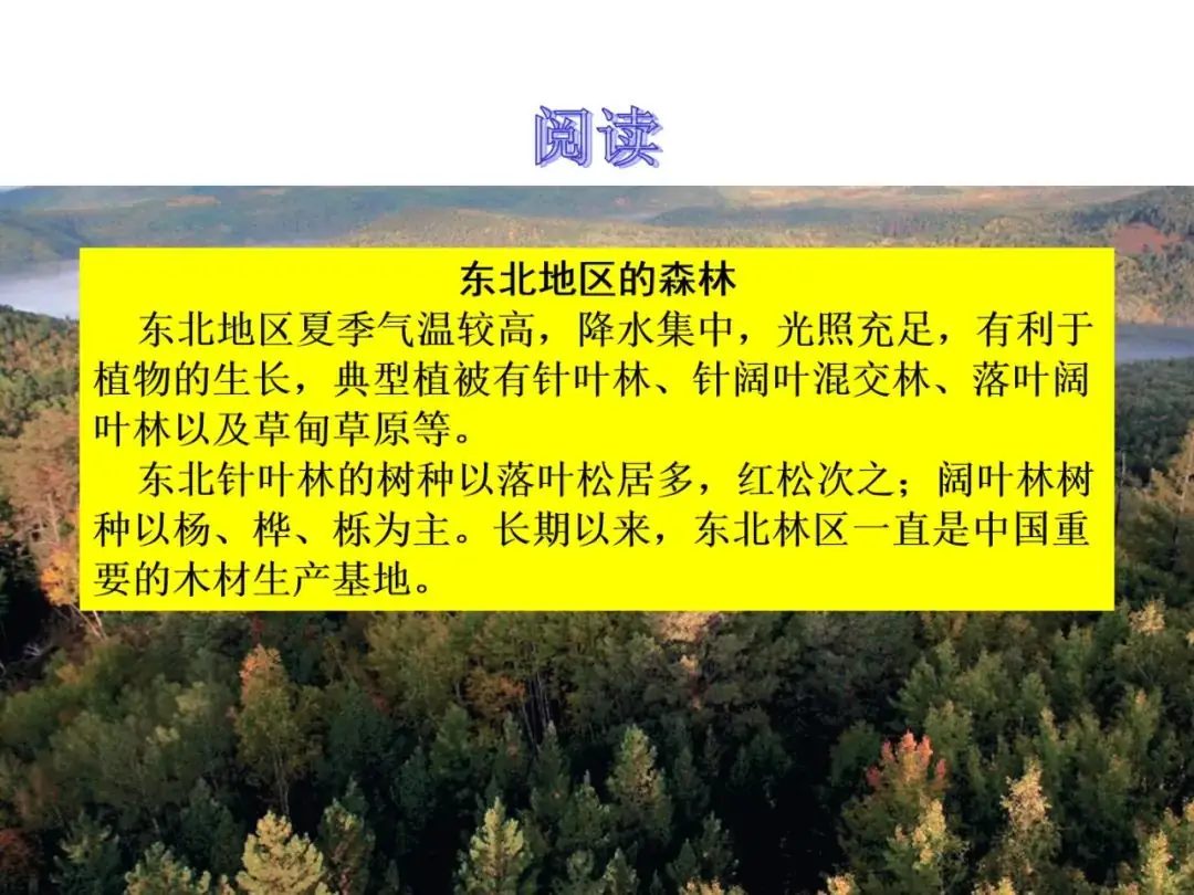 【中考地理必背知识点22】——东北地区的地理位置与自然环境 第26张 【中考地理必背知识点22】——东北地区的地理位置与自然环境 第26张