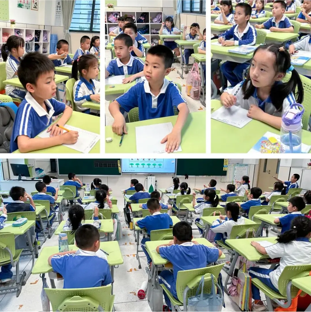 莲花山下好大一节数学课:新莲小学“空中农场的几何美学”课程长卷 第9张 莲花山下好大一节数学课:新莲小学“空中农场的几何美学”课程长卷 第9张