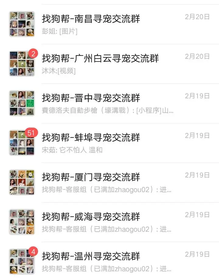 #济南寻狗# 市中区催马小学西侧约70米附近走失一只银狐,如有好心人看到或者收留请联系主人或本平台 第11张