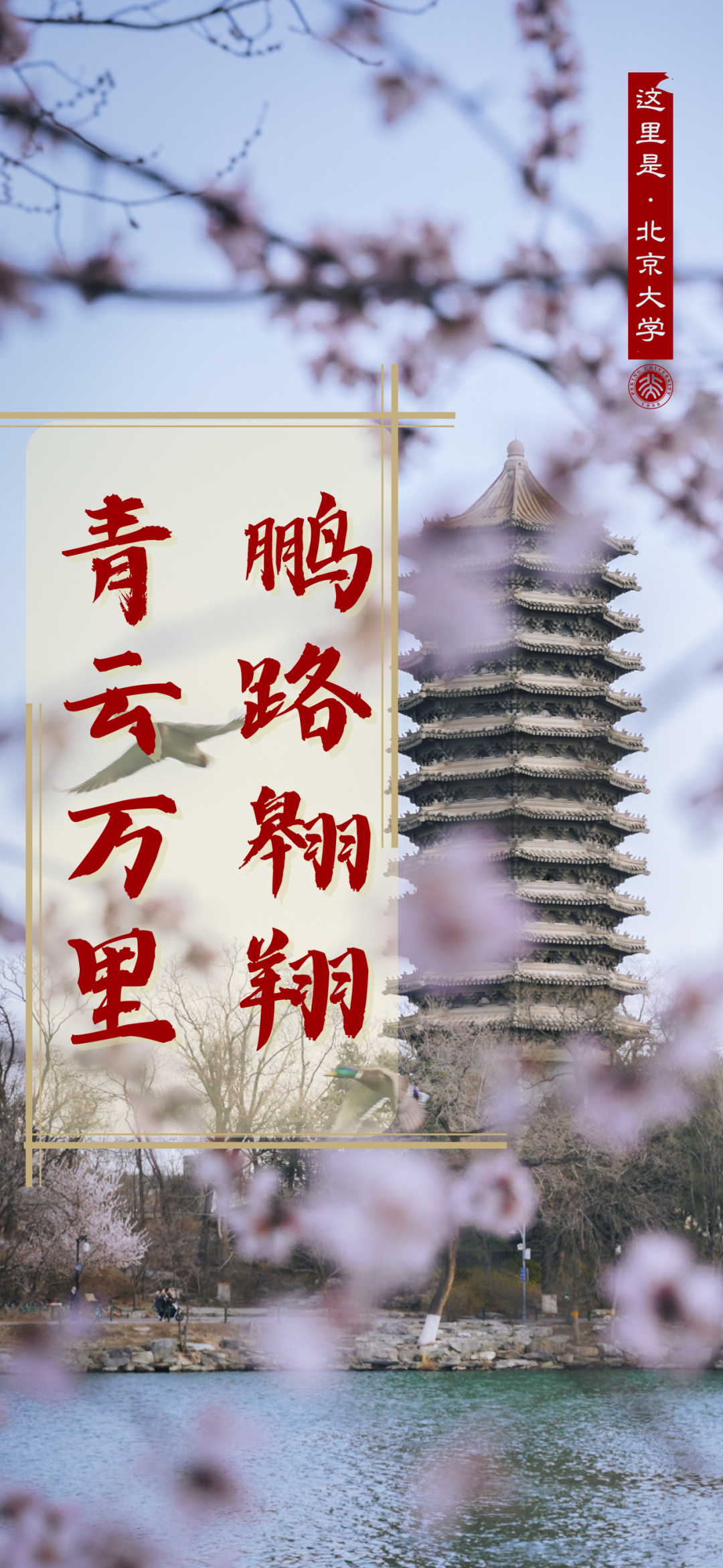 高考临近,这份祝福送给全力以赴的你! 第3张 高考临近,这份祝福送给全力以赴的你! 第3张