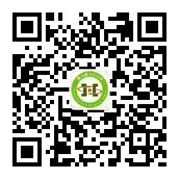 喜报丨横山桥中心小学、阳光小学在区二年级写字团体赛中分获一、三等奖 第15张 喜报丨横山桥中心小学、阳光小学在区二年级写字团体赛中分获一、三等奖 第15张
