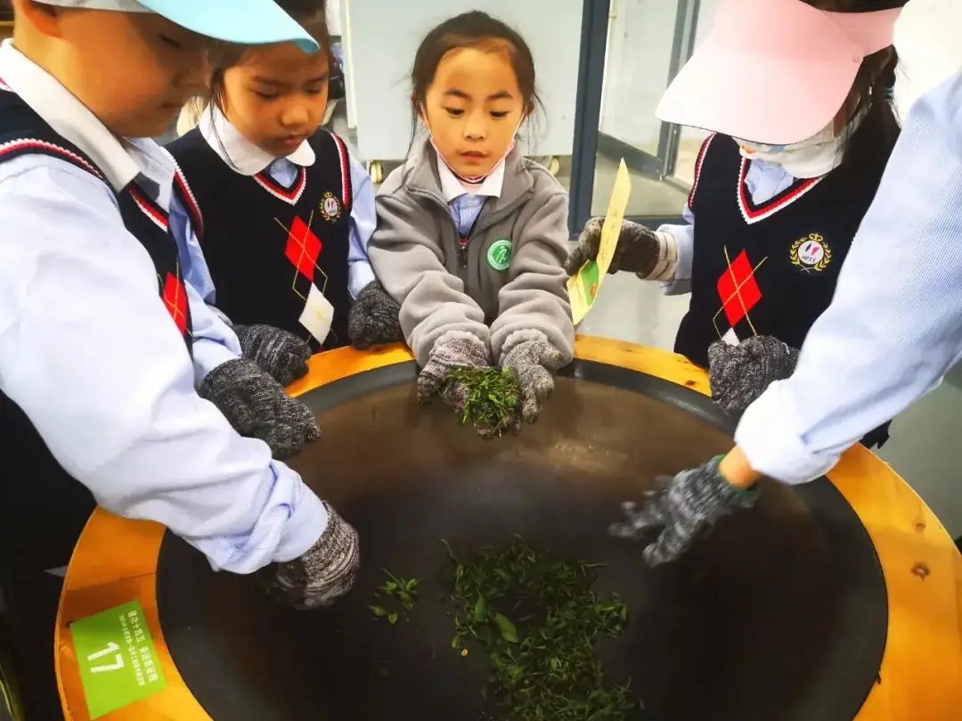 合肥市琥珀小学与安徽农业大学合作共建茶学科普教育基地 第15张 合肥市琥珀小学与安徽农业大学合作共建茶学科普教育基地 第15张