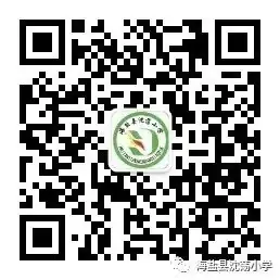 童心激荡 梦想启航——海盐县向阳小学教育集团沈荡小学“六一”儿童节展演 第54张